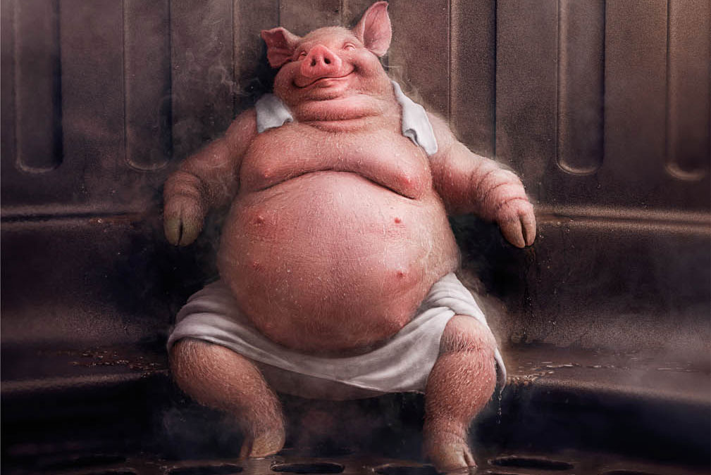 A picture of a pig